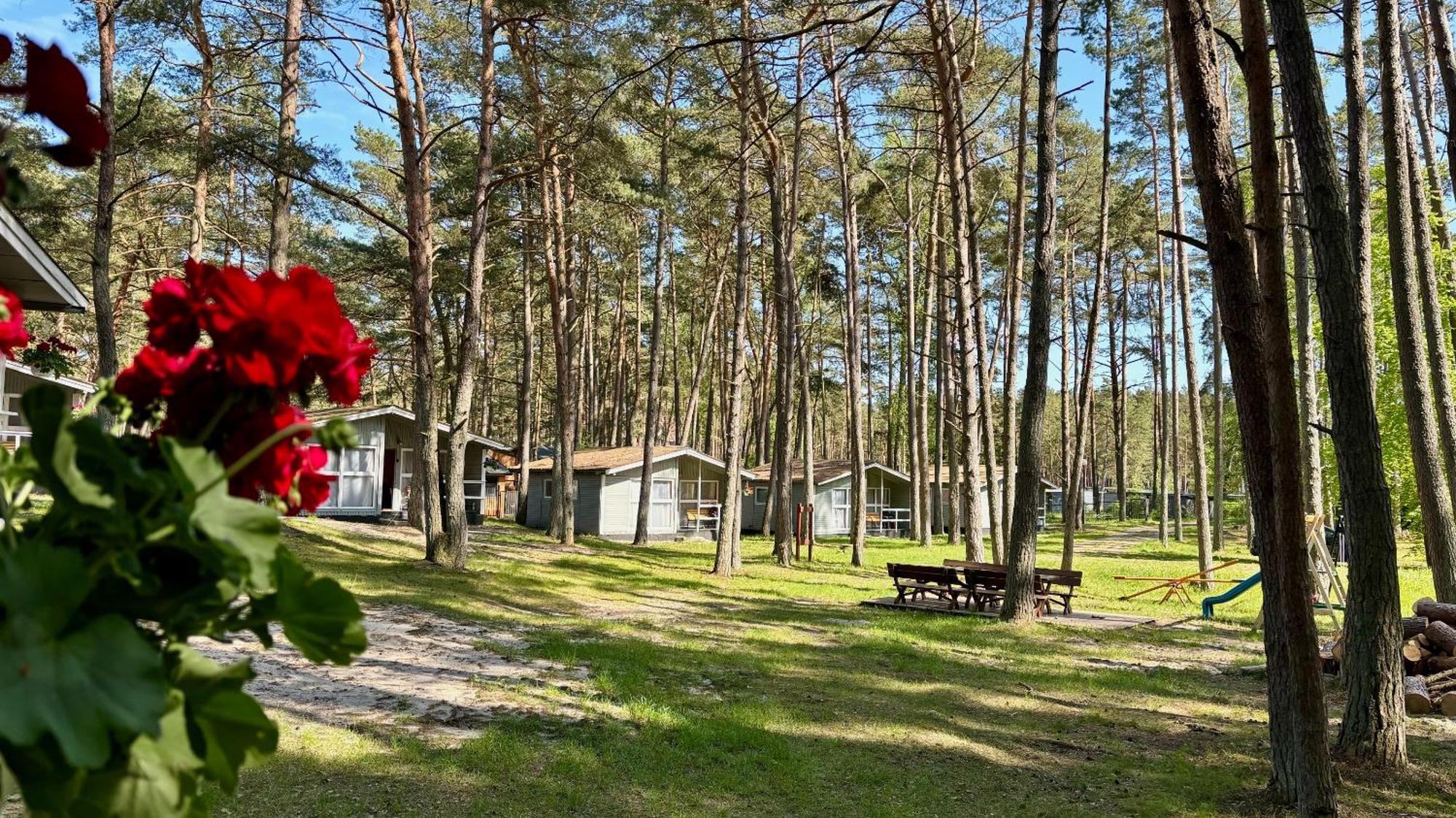 Villa Lesna Przystan à Pobierowo Extérieur photo